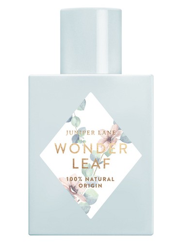 عطر ادکلن واندر لیف نیچر بلاسام - Wonder Leaf Nature Blossom - بررسی، قیمت و خرید