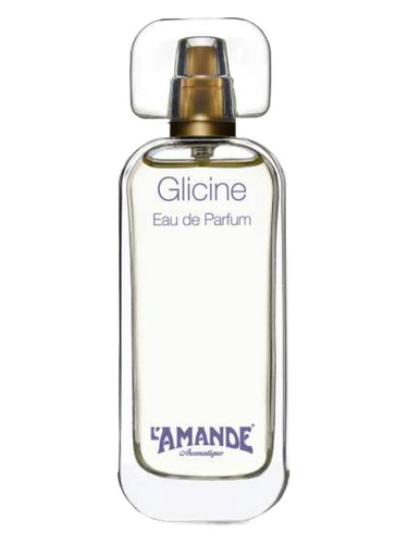 عطر ادکلن گلیسین لاماند - Glicine L'Amande - بررسی، قیمت و خرید