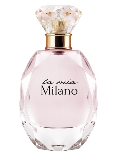 عطر ادکلن لا میا میلانو پرفیومز کنستانتین - La Mia Milano Parfums Constantine - بررسی، قیمت و خرید