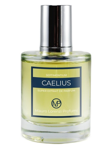عطر ادکلن کایلیوس ماورو لورنزی پروفومی - Caelius Mauro Lorenzi Profumi - بررسی، قیمت و خرید