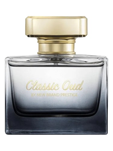 عطر ادکلن کلاسیک عود نیو برند پرفیومز - Classic Oud New Brand Parfums - بررسی، قیمت و خرید