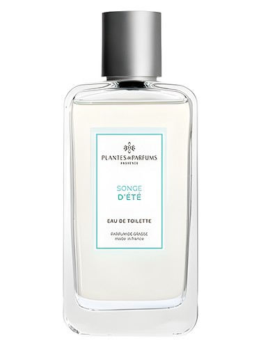 عطر ادکلن سونژ دته پلانتس اند پرفیومز - Songe d’Ete Plantes & Parfums - بررسی، قیمت و خرید