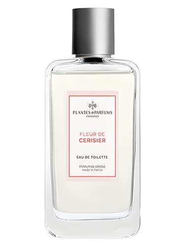 عطر ادکلن فلور دو سریزیه پلنته اَند پارفومز - Fleur de Cerisier Plantes & Parfums - بررسی، قیمت و خرید