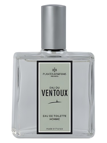 عطر ادکلن او دو ون تو پلانته و پارفوم - Eau du Ventoux Plantes & Parfums - بررسی، قیمت و خرید