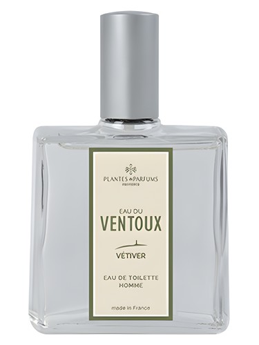 عطر ادکلن اُ دو ونتو وِتیوِر پلانتس اند پرفیوم - Eau du Ventoux Vétiver Plantes & Parfums - بررسی، قیمت و خرید