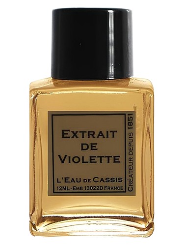 عطر ادکلن ویولت لو دو کاسی - Violette L'Eau De Cassis - بررسی، قیمت و خرید