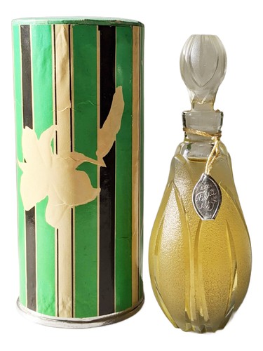 عطر ادکلن بـِلایا لـیلیا لیویو پرفیوم فکتوری - لوویفسکا پارفومرنا فابریکا - Белая лилия - White lily Lviv Perfume Factory - Львівська парфумерна фабрика - بررسی، قیمت و خرید