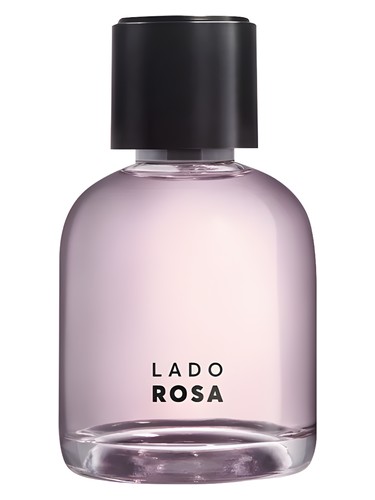 عطر ادکلن لادو رزا کیم دیسه برنیس - Lado Rosa Quem Disse Berenice - بررسی، قیمت و خرید