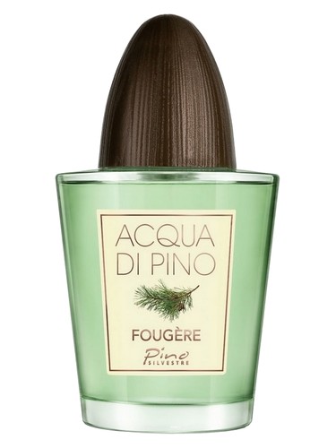 عطر ادکلن آکوا دی پینو فوژر پینو سیلوستر - Acqua di Pino Fougere Pino Silvestre - بررسی، قیمت و خرید