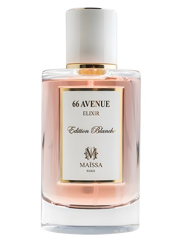 عطر ادکلن شصت و شش اَوِنیِو مایسا پرفیومز - 66 Avenue Maïssa Parfums - بررسی، قیمت و خرید