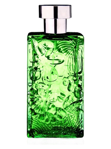 عطر ادکلن آرابیَن گاردِنز نیکلاس دانیلا - Arabian Gardens Nicolas Danila - بررسی، قیمت و خرید