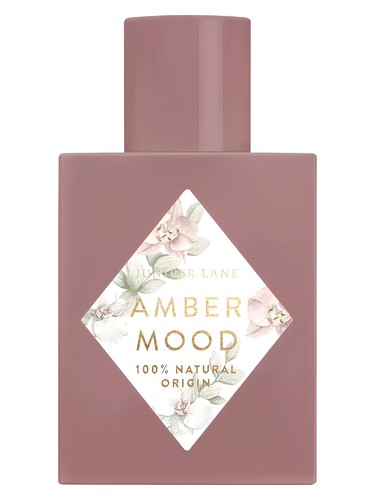 عطر ادکلن امبر مود نیچر بلوسوم - Amber Mood Nature Blossom - بررسی، قیمت و خرید