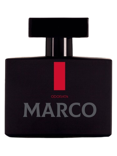 عطر ادکلن مارکو اودوراتا - Marco Odorata - بررسی، قیمت و خرید