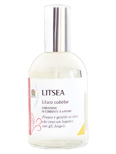 عطر ادکلن لیتسیا اُلفَتیوا - Litsea Olfattiva - بررسی، قیمت و خرید