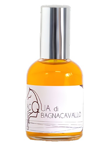 عطر ادکلن آکوا دی بگنکاوالو اولفاتیوا - Acqua di Bagnacavallo Olfattiva - بررسی، قیمت و خرید