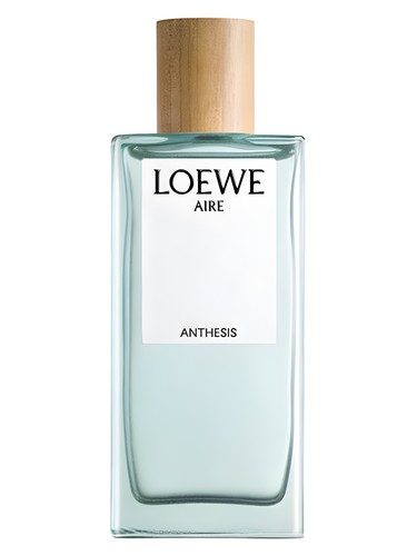 عطر ادکلن ایر آنتسیس لووه - Aire Anthesis Loewe - بررسی، قیمت و خرید