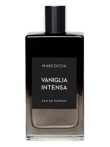 عطر ادکلن وانیلیا اینتنسا مارکوچیا - Vaniglia Intensa Marcoccia - بررسی، قیمت و خرید