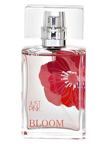 عطر ادکلن جاست پینک بلوم نکست - Just Pink Bloom Next - بررسی، قیمت و خرید
