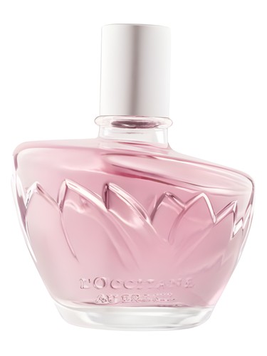 عطر ادکلن نینفا داس آگواس فاسینیو لوکسیتان او برزیل - Ninfa das Águas Fascínio L’Occitane Au Brésil - بررسی، قیمت و خرید