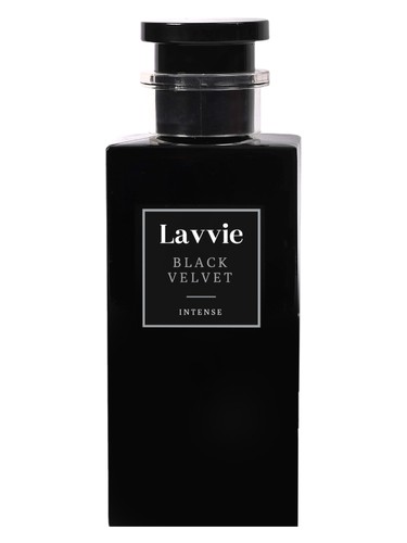 عطر ادکلن بِلَک وِلوِت لاوی پرفیومز - BLACK VELVET LAVVIE PERFUMES - بررسی، قیمت و خرید