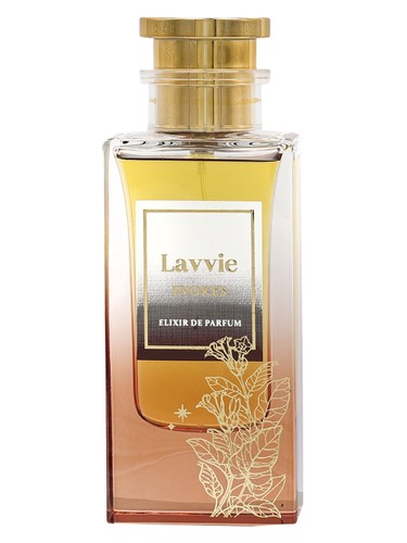 عطر ادکلن ایووکس لاوی پرفیومز - EVOKES LAVVIE PERFUMES - بررسی، قیمت و خرید