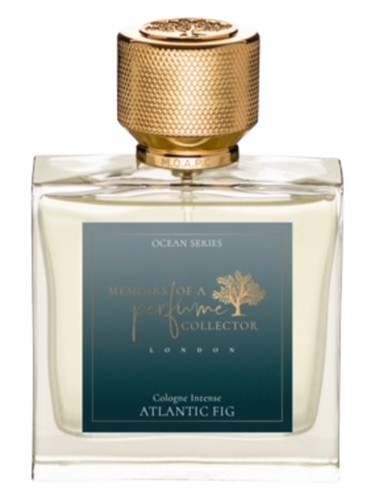 عطر ادکلن اتلانتیک فیگ مموآرز آو ا پرفیوم کالکتور - Atlantic Fig Memoirs Of A Perfume Collector - بررسی، قیمت و خرید