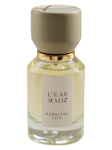 عطر ادکلن برستینگ لایف لو مالیس - Bursting Life L'Eau Maliz - بررسی، قیمت و خرید