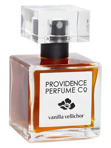 عطر ادکلن ونیلّا ولیکور پروویدنس پرفیوم کو - Vanilla Vellichor Providence Perfume Co. - بررسی، قیمت و خرید
