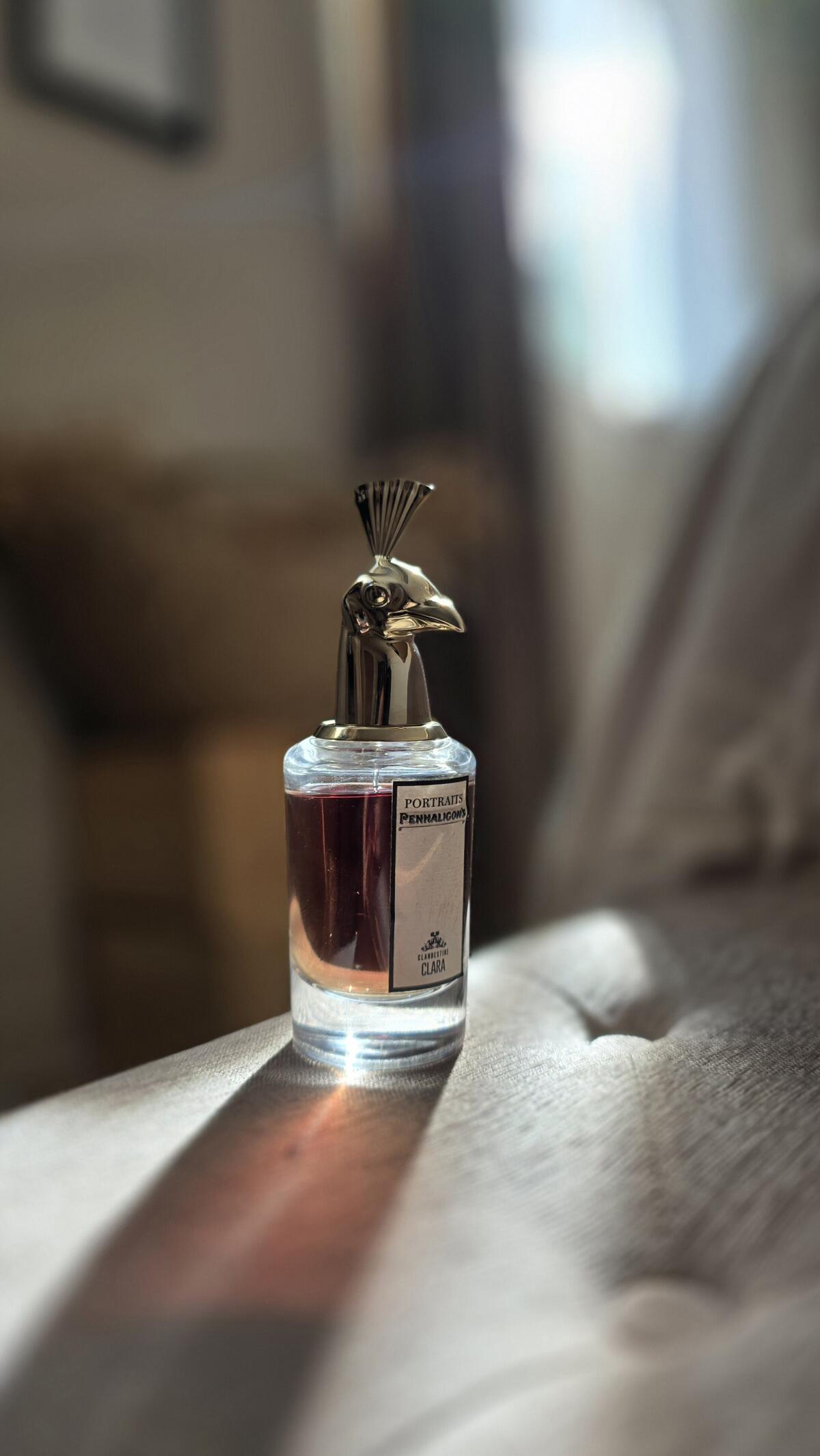 عطر ادکلن کلندستاین کلارا پنالیگونز - Clandestine Clara Penhaligon's - بررسی، قیمت و خرید