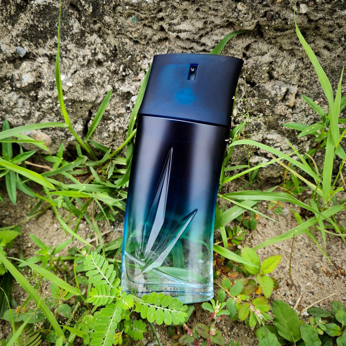 عطر ادکلن کنزو هوم او دو پرفیوم کنزو - Kenzo Homme Eau de Parfum Kenzo - بررسی، قیمت و خرید