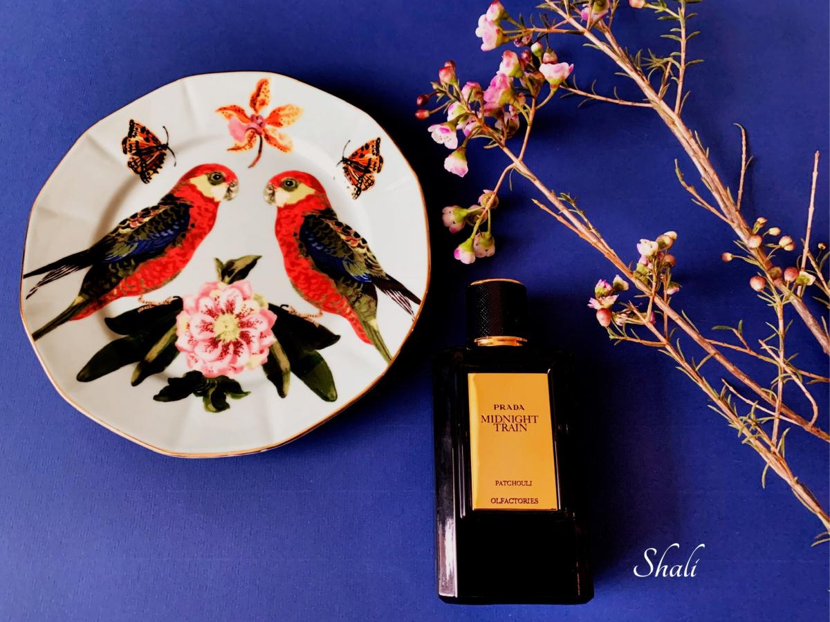 عطر ادکلن میرجز میدنایت ترین پرادا - Mirages Midnight Train Prada - بررسی، قیمت و خرید