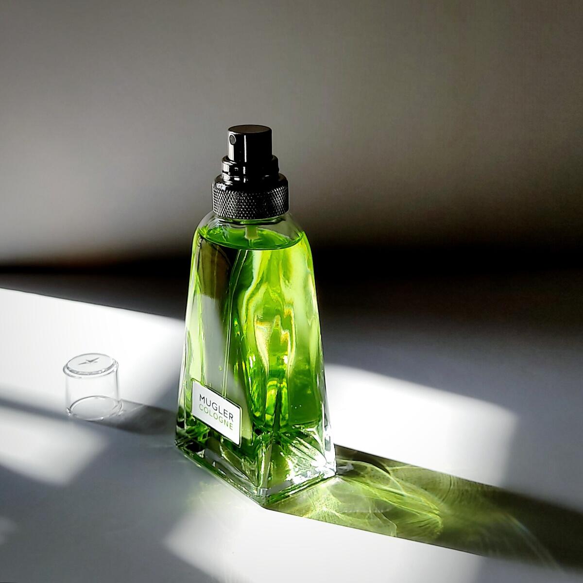 عطر ادکلن ماگلر کلن کام توگدر موگلر - Mugler Cologne Come Together Mugler - بررسی، قیمت و خرید