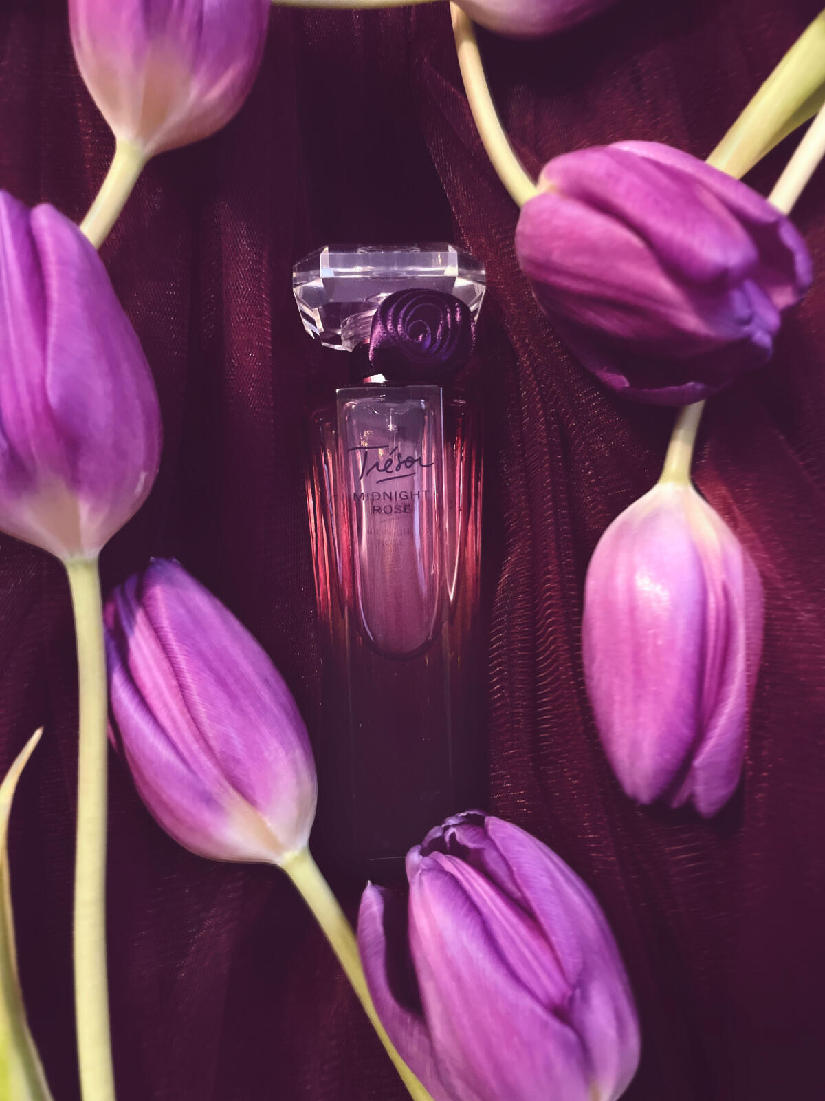 عطر ادکلن ترزور میدنایت رز لَنکوم - Trésor Midnight Rose Lancôme - بررسی، قیمت و خرید