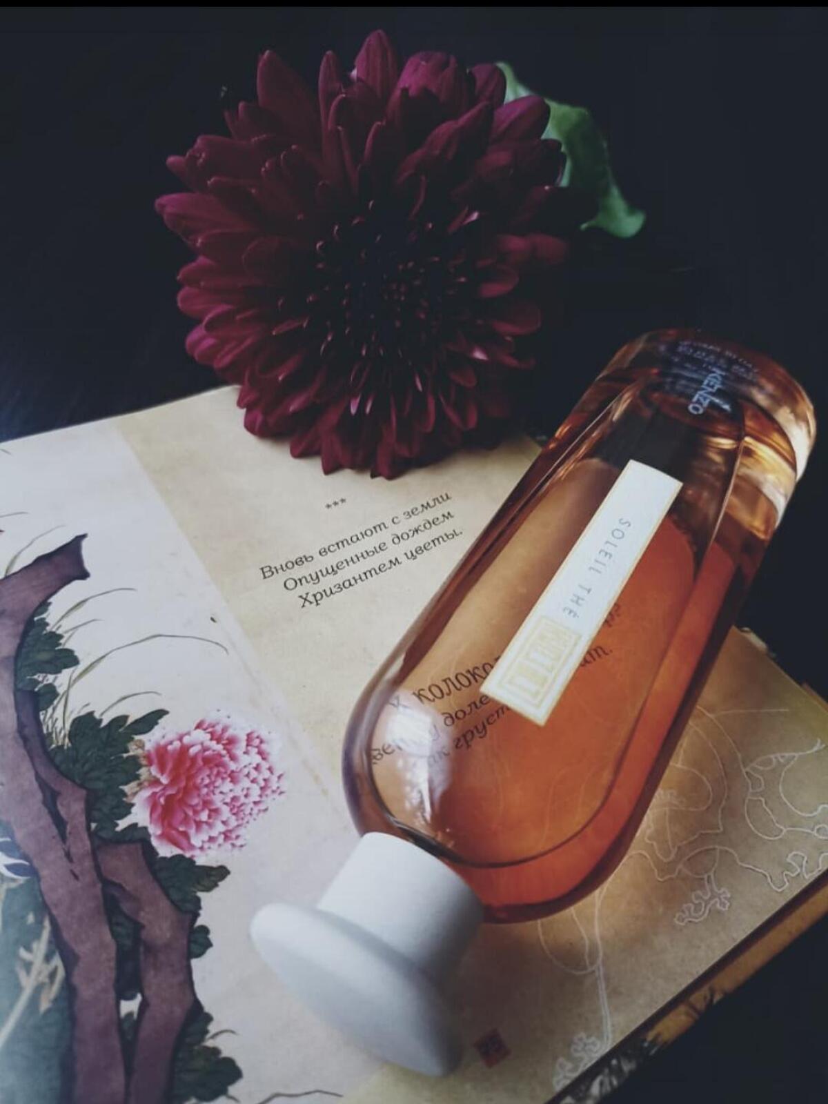 عطر ادکلن سولِه تِه کنزو - Soleil Thé Kenzo - بررسی، قیمت و خرید