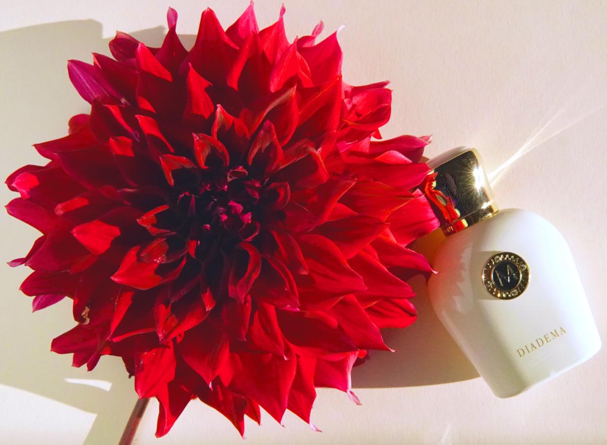 عطر ادکلن دیادما مورِسک - Diadema Moresque - بررسی، قیمت و خرید