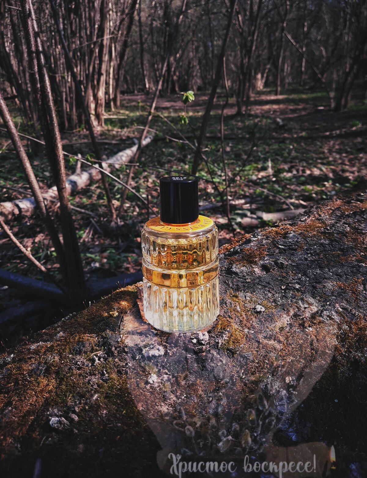 عطر ادکلن روکسو تونیک دوهزار و هجده لِه بِین گِربوا - 2018 Roxo Tonic Les Bains Guerbois - بررسی، قیمت و خرید