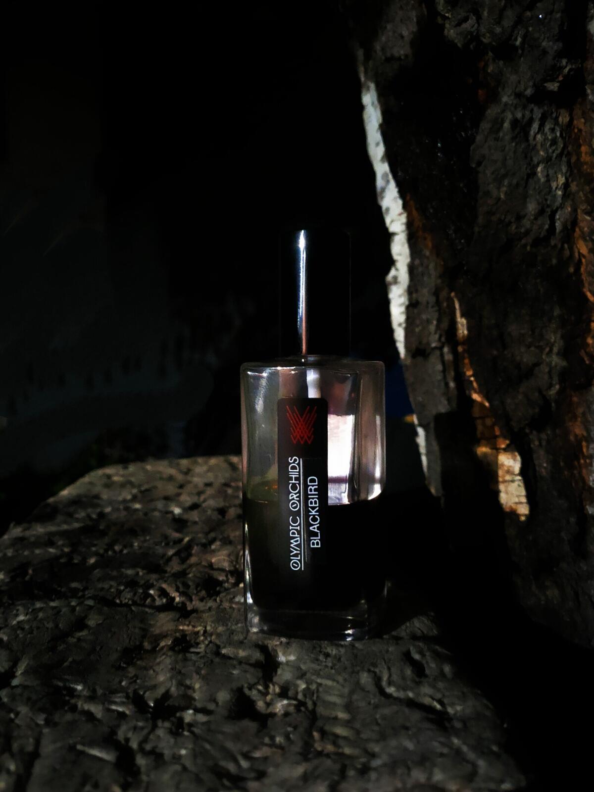 عطر ادکلن بِلَک بِرد اولیمپیک ارکیدز آرتیزان پرفیومز - Blackbird Olympic Orchids Artisan Perfumes - بررسی، قیمت و خرید