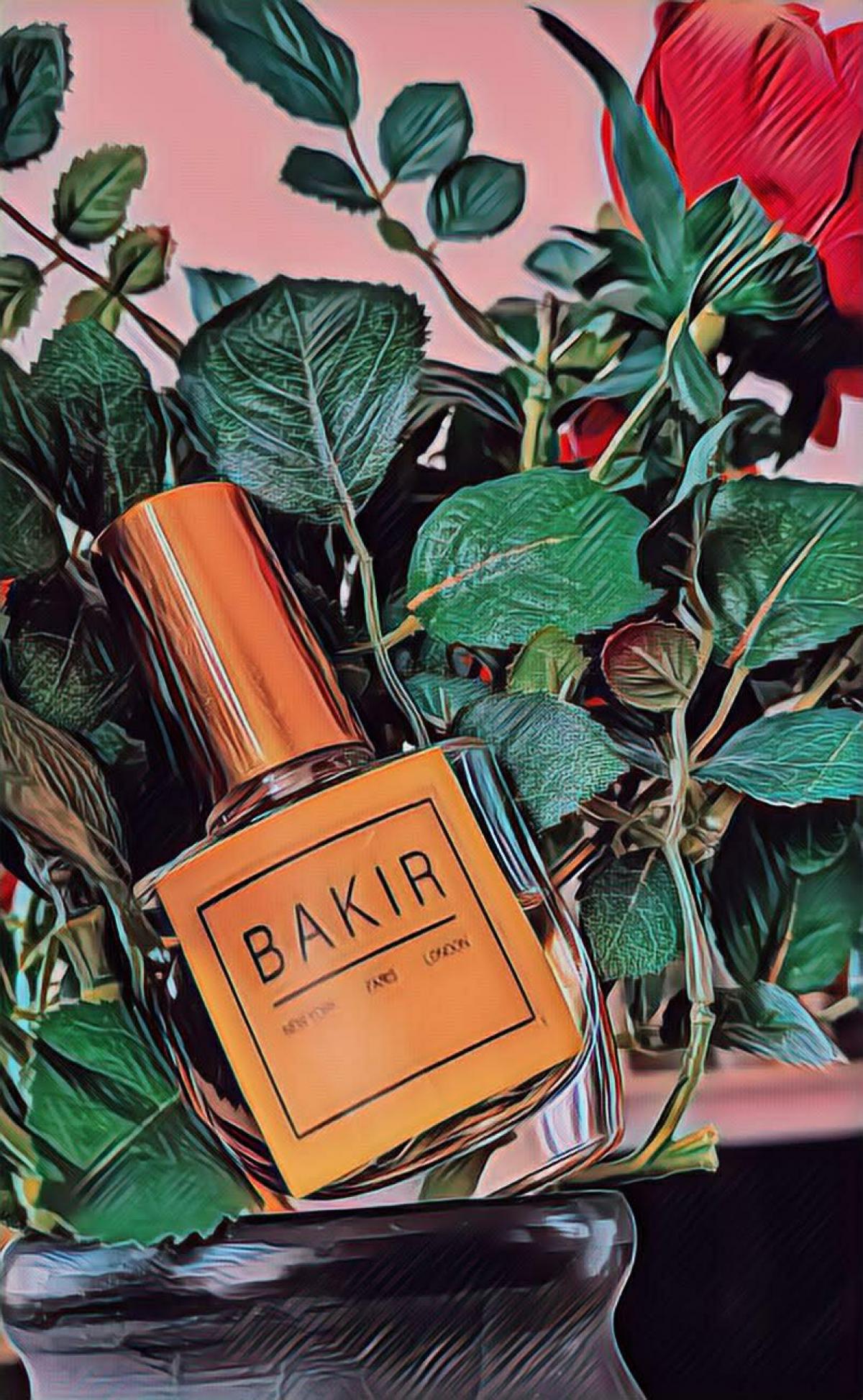 عطر ادکلن باکیر لانگ لاست پرفیوم - Bakir Long Lost Perfume - بررسی، قیمت و خرید