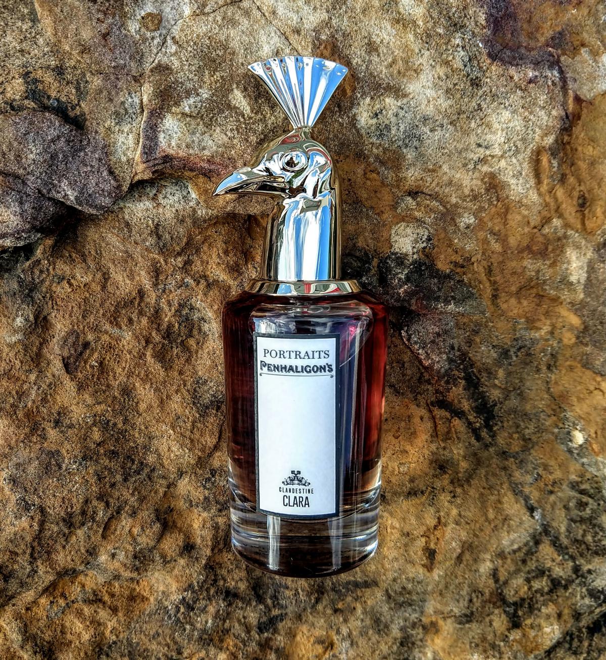عطر ادکلن کلندستاین کلارا پنالیگونز - Clandestine Clara Penhaligon's - بررسی، قیمت و خرید
