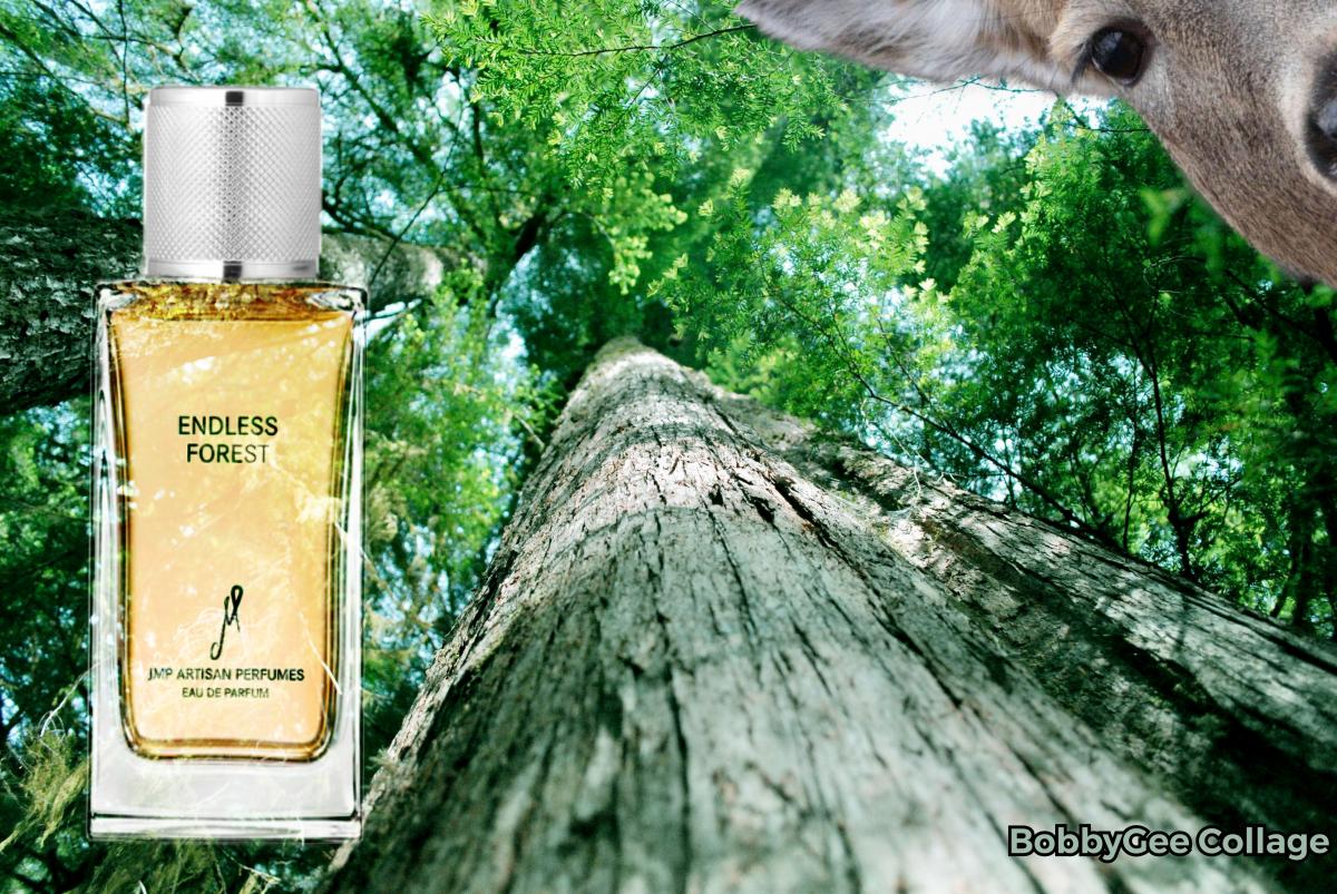 عطر ادکلن اندلس فورست جی‌ام‌پی آرتیسان پرفیومز - Endless Forest JMP Artisan Perfumes - بررسی، قیمت و خرید