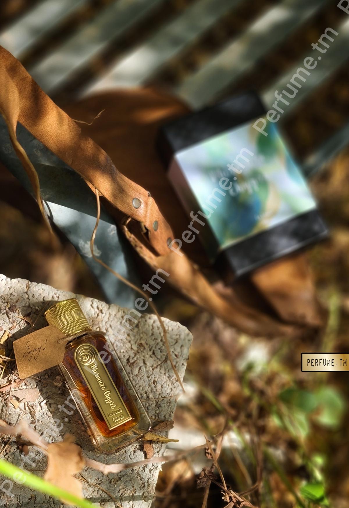 عطر ادکلن مورمور شیپغ موتیف اولفکتیف - Murmure Chypré Motif Olfactif - بررسی، قیمت و خرید