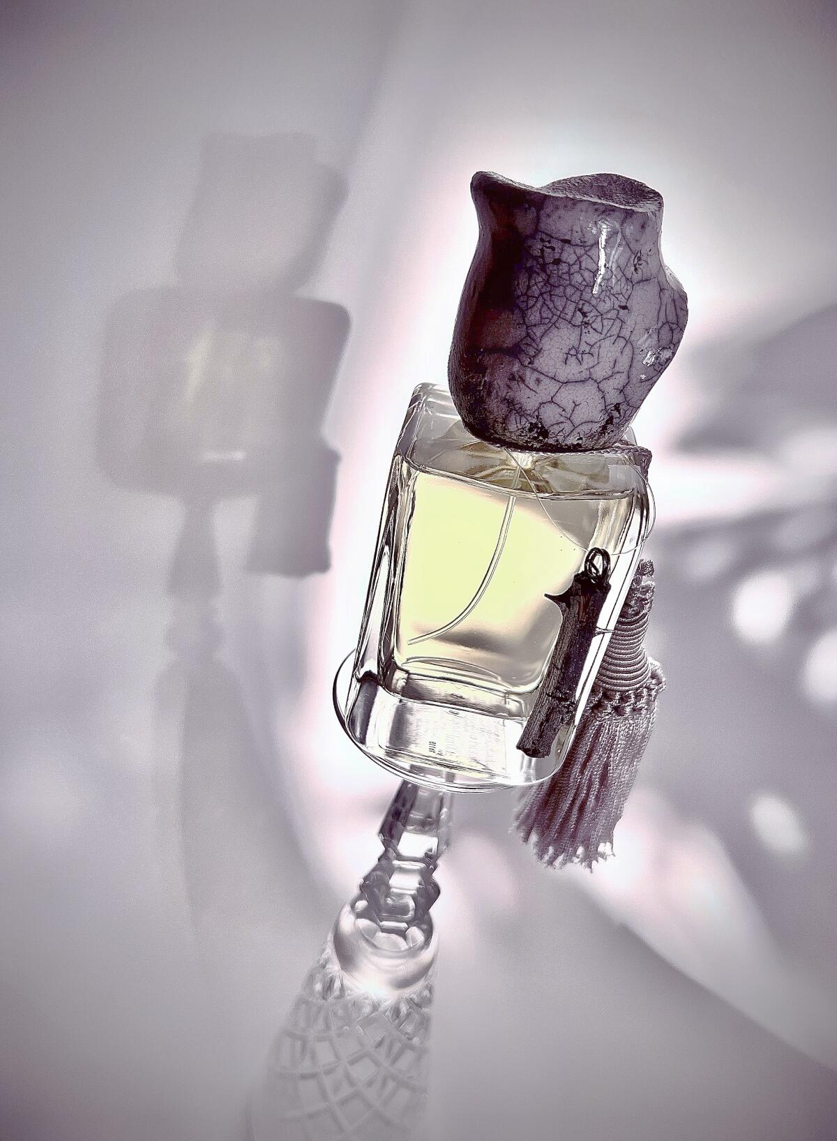 عطر ادکلن تلنتو مندیتوروسا - Talento Mendittorosa - بررسی، قیمت و خرید