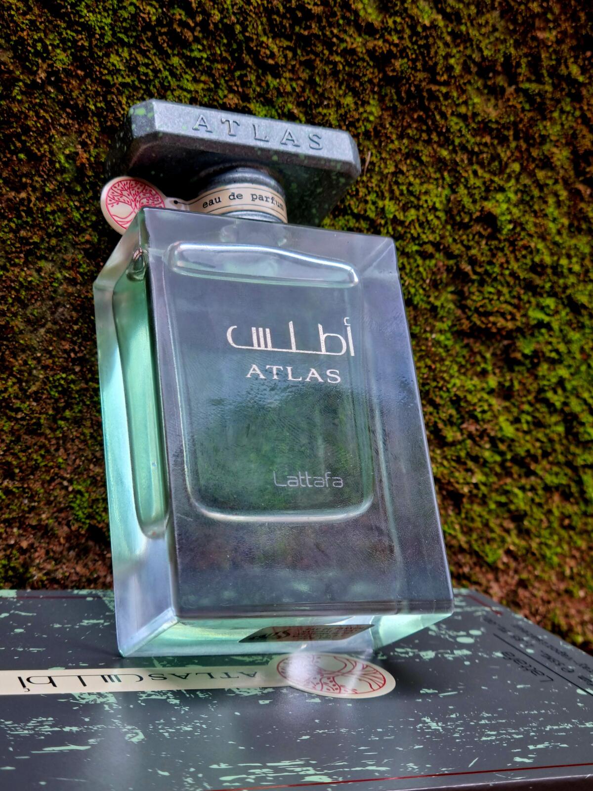 عطر ادکلن اطلس لطافه - Atlas Lattafa Perfumes - بررسی، قیمت و خرید