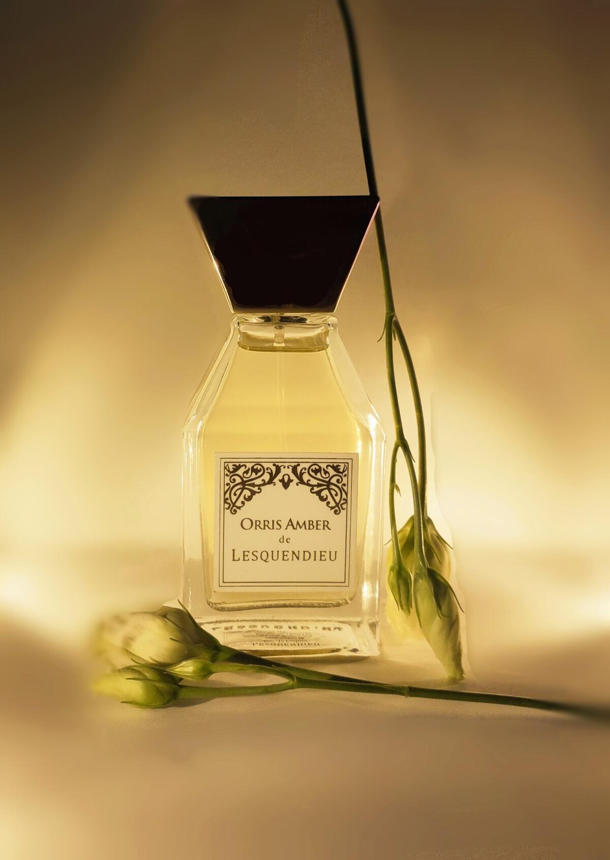 عطر ادکلن اوریس امبر لسکندیو - Orris Amber Lesquendieu - بررسی، قیمت و خرید