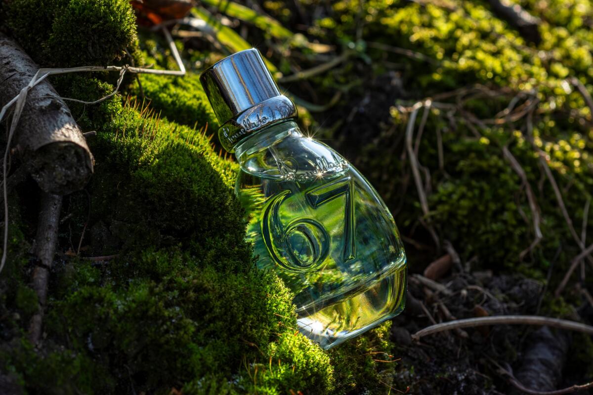 عطر ادکلن شصت و هفت آرتمیزیا پوملاتو - 67 Artemisia Pomellato - بررسی، قیمت و خرید