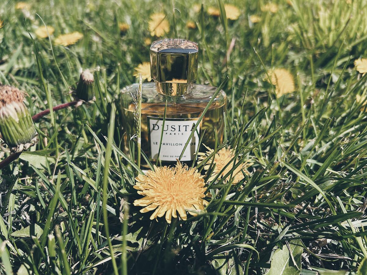 عطر ادکلن لو پاویون دور پرفیومز دوسیتا - Le Pavillon D'Or Parfums Dusita - بررسی، قیمت و خرید