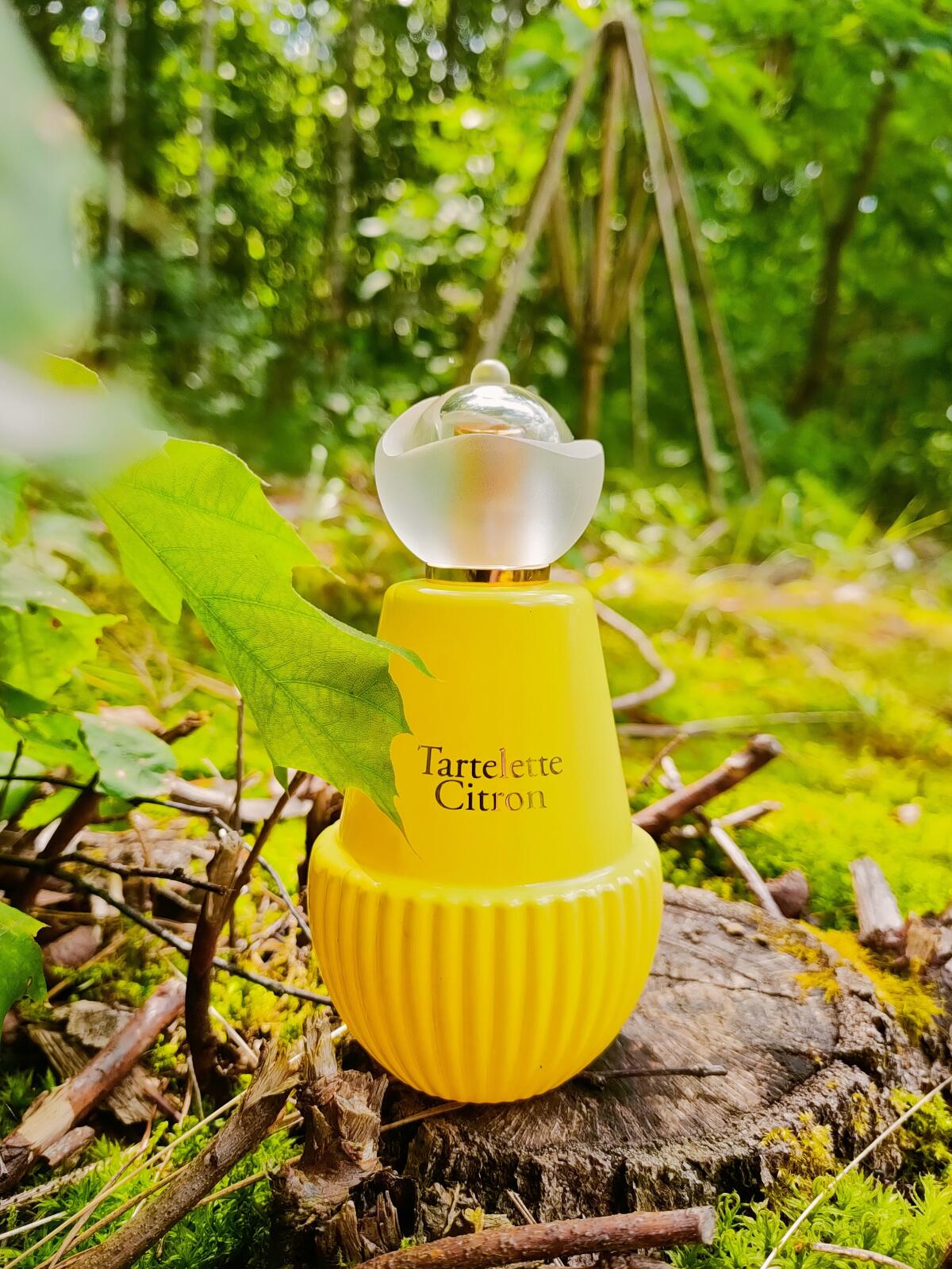عطر ادکلن تی تایم آ پاریس تارتلت لیمون ژان آرته - Tea Time à Paris Tartelette Citron Jeanne Arthes - بررسی، قیمت و خرید