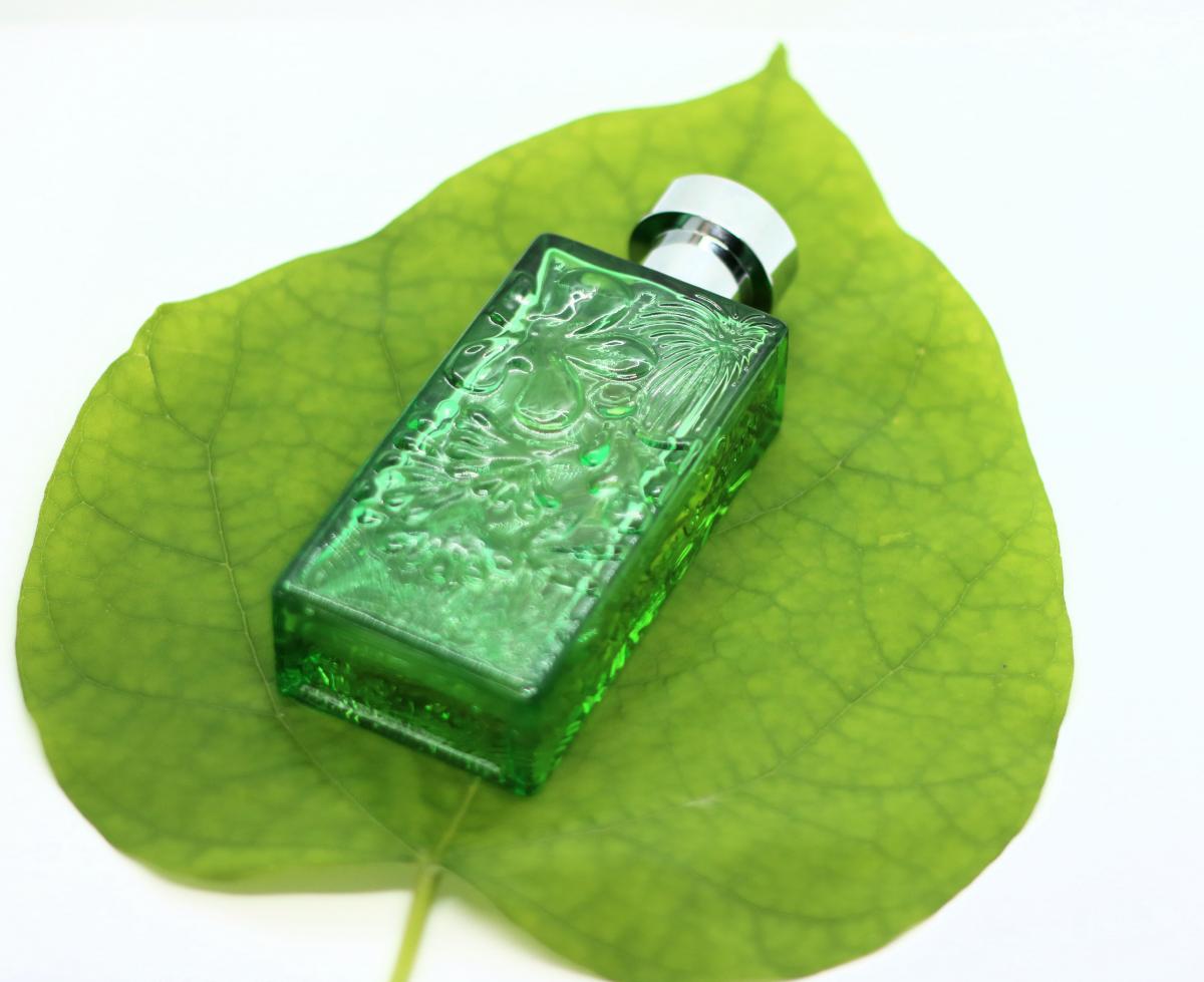 عطر ادکلن آرابیَن گاردِنز نیکلاس دانیلا - Arabian Gardens Nicolas Danila - بررسی، قیمت و خرید