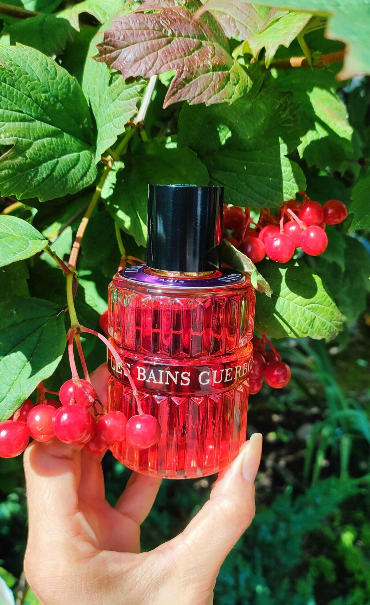 عطر ادکلن ناینته ناینته تو پورپل نایت لِه بَن گِربوا - 1992 Purple Night Les Bains Guerbois - بررسی، قیمت و خرید