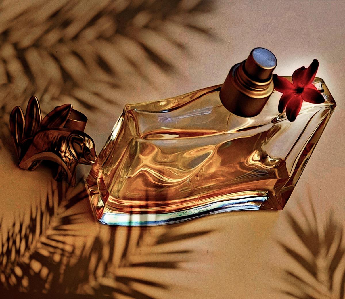 عطر ادکلن کنزو جانگل ل'الفنت کنزو - Kenzo Jungle L'Elephant Kenzo - بررسی، قیمت و خرید